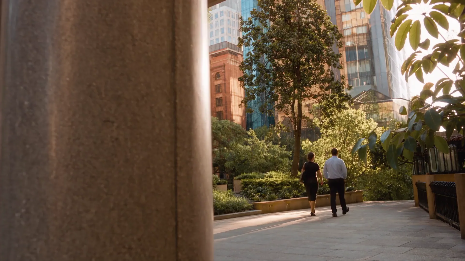 Two people walk through a planted Sydney courtyard, surrounded by sandstone and glass buildings in golden evening light.